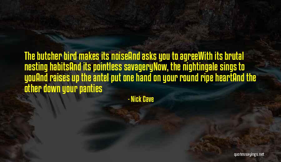 Hamzah Tiktok Quotes By Nick Cave Hamzah Tiktok Quotes By Nick Cave