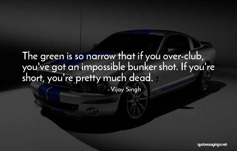 Hamzat Deputy Quotes By Vijay Singh Hamzat Deputy Quotes By Vijay Singh