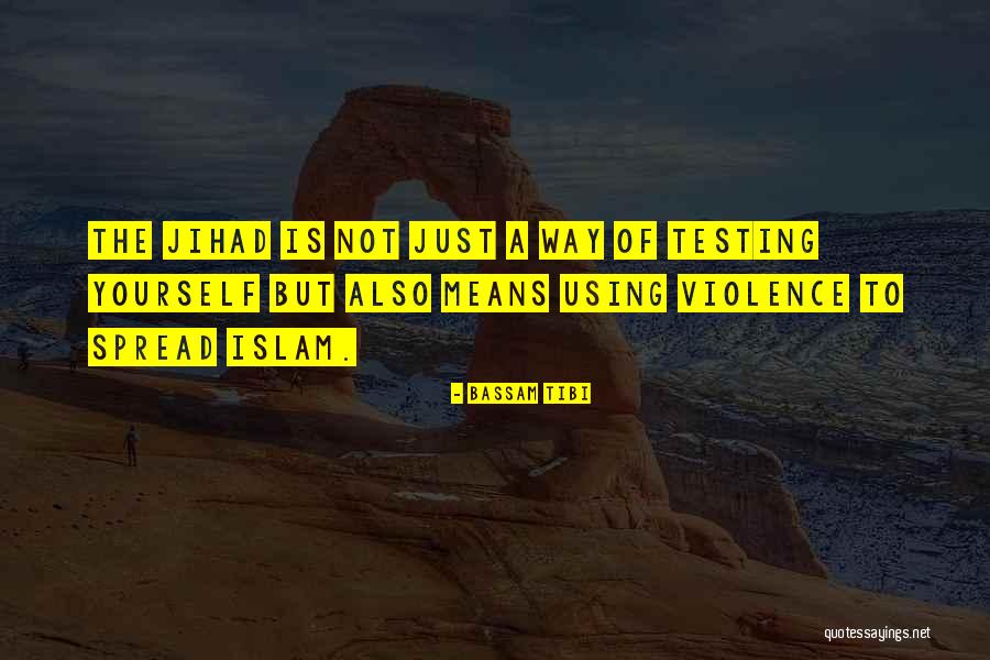 Hana Tajima Quotes By Bassam Tibi