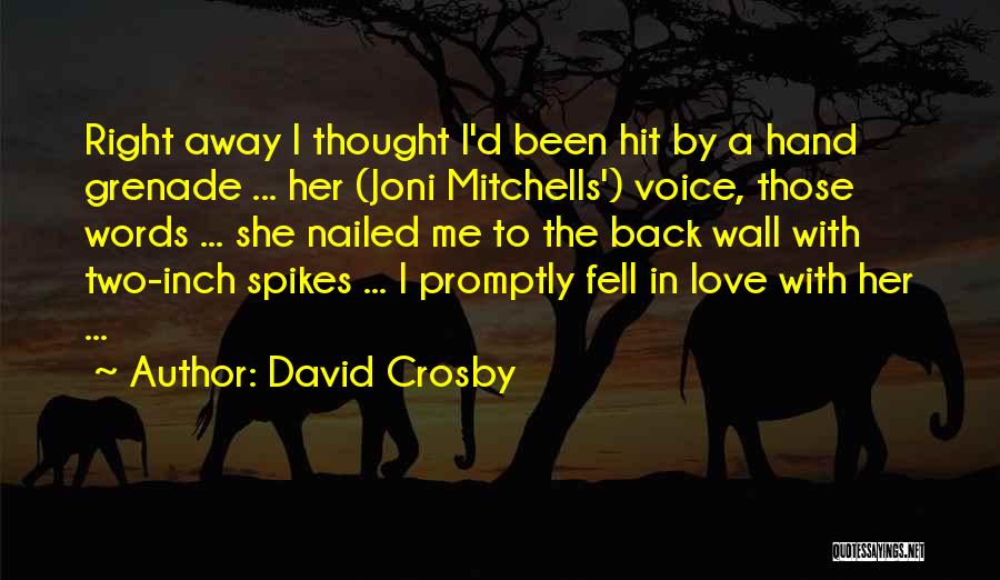 Hand Grenade Quotes By David Crosby