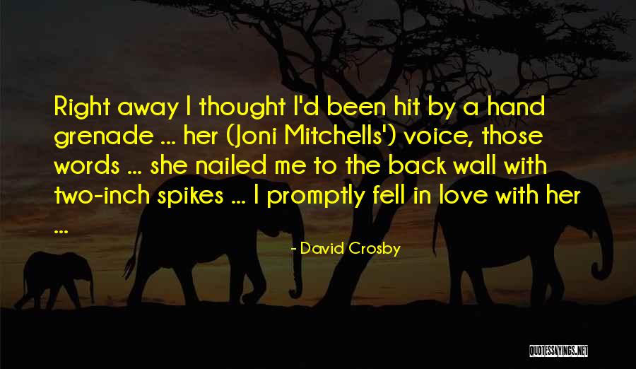 Hand Grenade Quotes By David Crosby