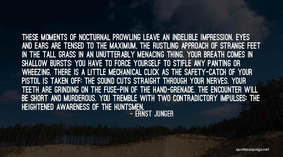 Hand Grenade Quotes By Ernst Junger