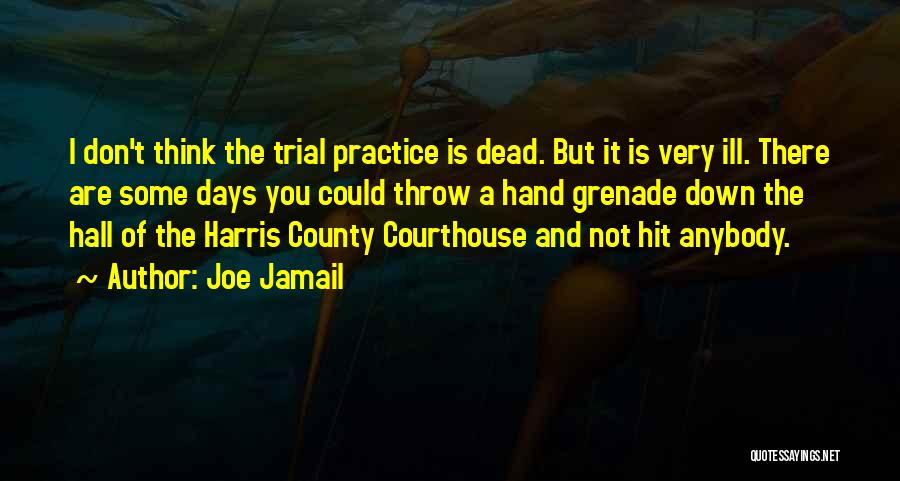 Hand Grenade Quotes By Joe Jamail