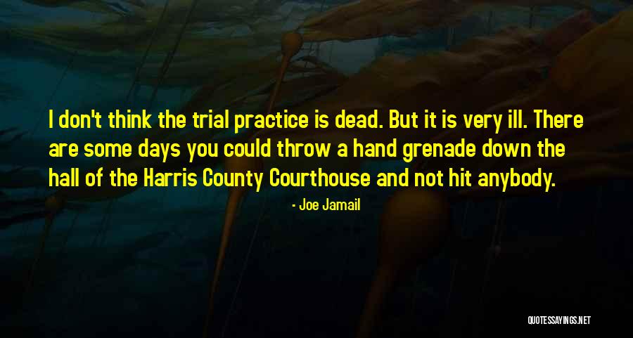 Hand Grenade Quotes By Joe Jamail