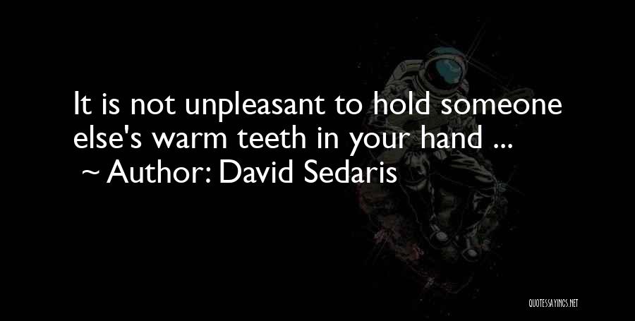 Hand To Hold Quotes By David Sedaris