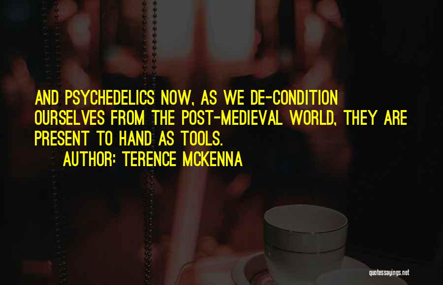 Hand Tools Quotes By Terence McKenna