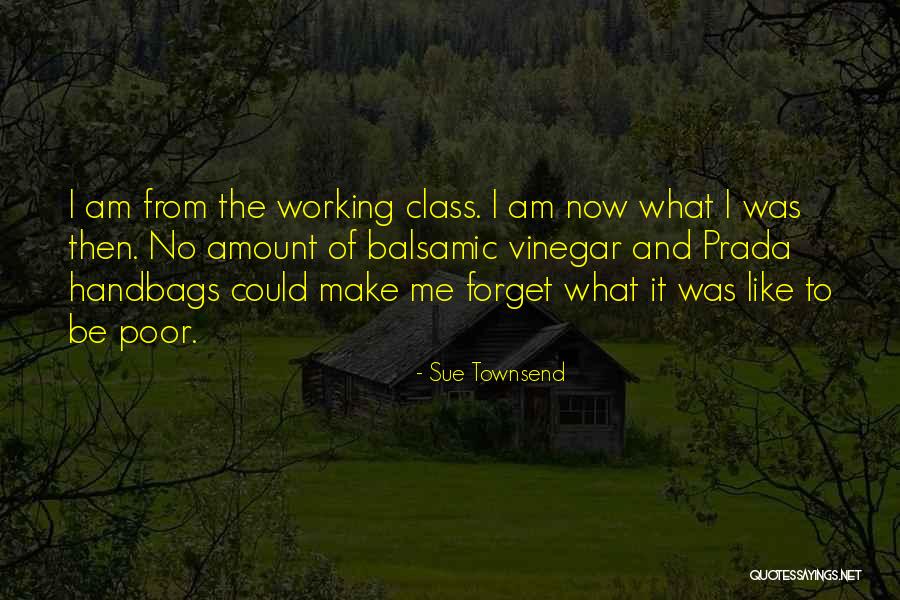 Handbags Quotes By Sue Townsend Handbags Quotes By Sue Townsend