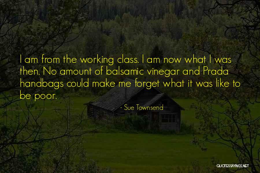 Handbags Quotes By Sue Townsend