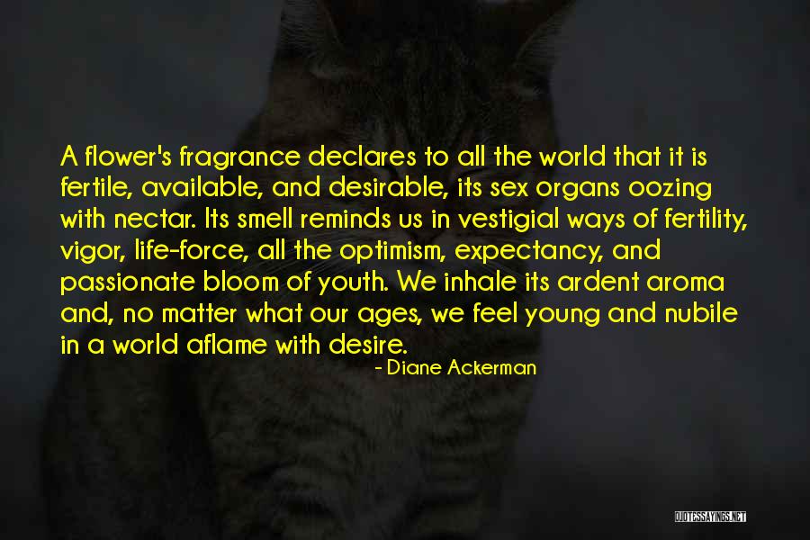Handbasket Quotes By Diane Ackerman Handbasket Quotes By Diane Ackerman