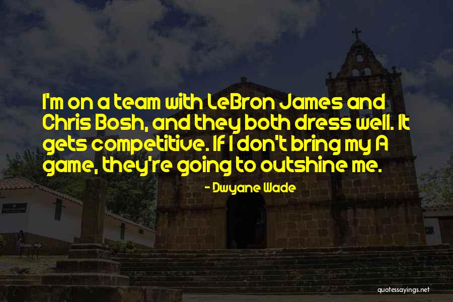 Handbasket Quotes By Dwyane Wade Handbasket Quotes By Dwyane Wade
