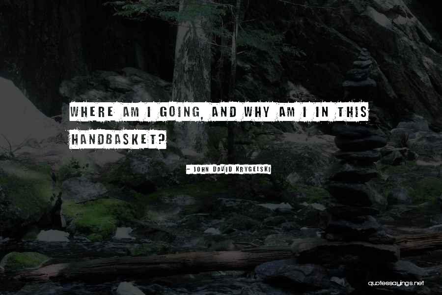 Handbasket Quotes By John David Krygelski Handbasket Quotes By John David Krygelski