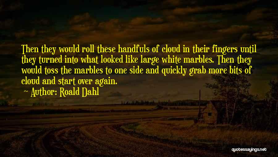 Handfuls Quotes By Roald Dahl