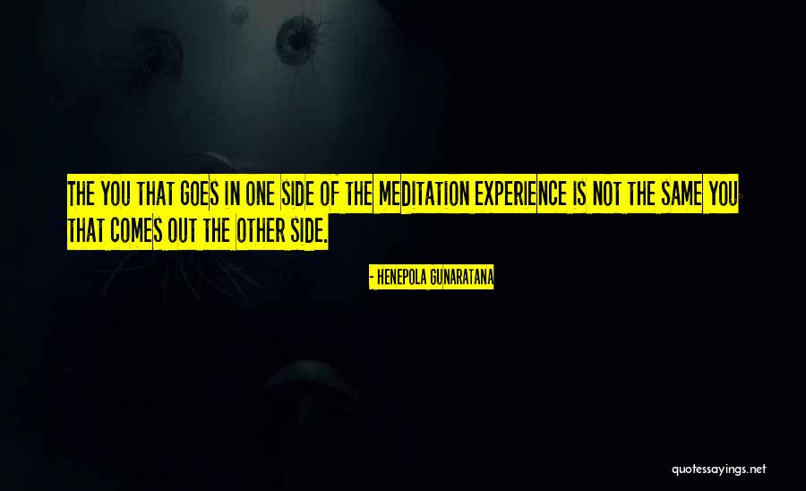 Handholds For Bath Quotes By Henepola Gunaratana Handholds For Bath Quotes By Henepola Gunaratana