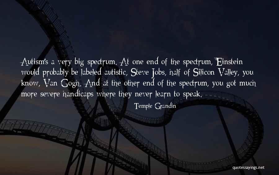 Handicaps Quotes By Temple Grandin