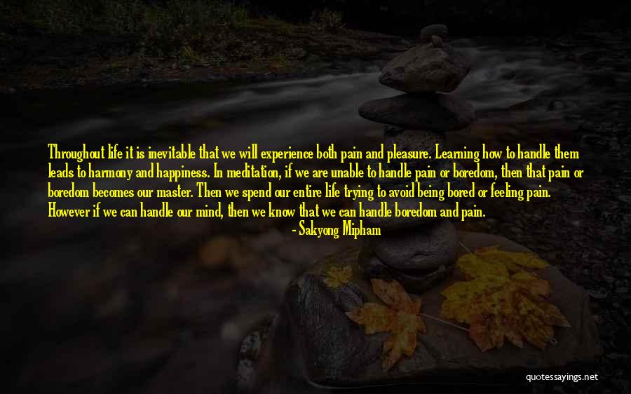 Handle Pain Quotes By Sakyong Mipham