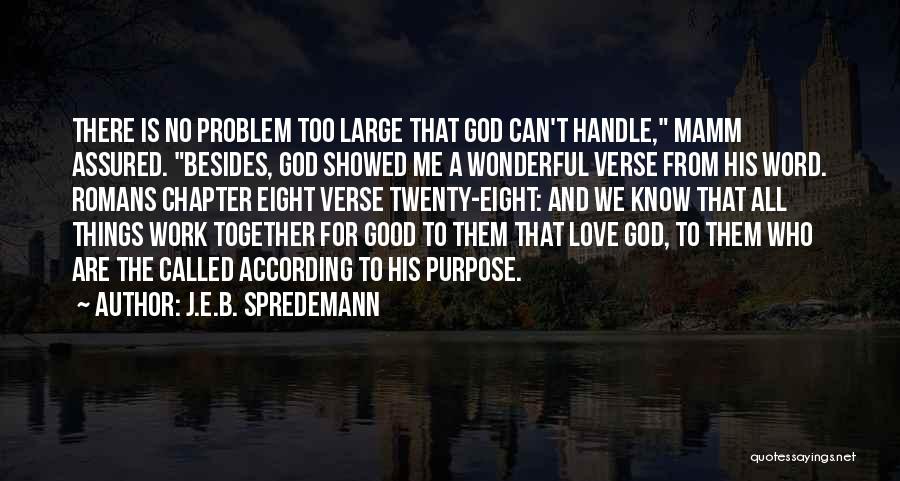 Handle Problems Quotes By J.E.B. Spredemann