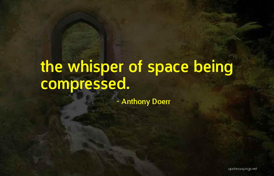 Handrails For Concrete Quotes By Anthony Doerr