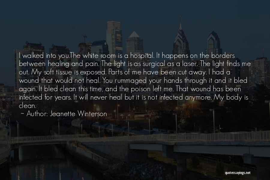 Hands And Healing Quotes By Jeanette Winterson