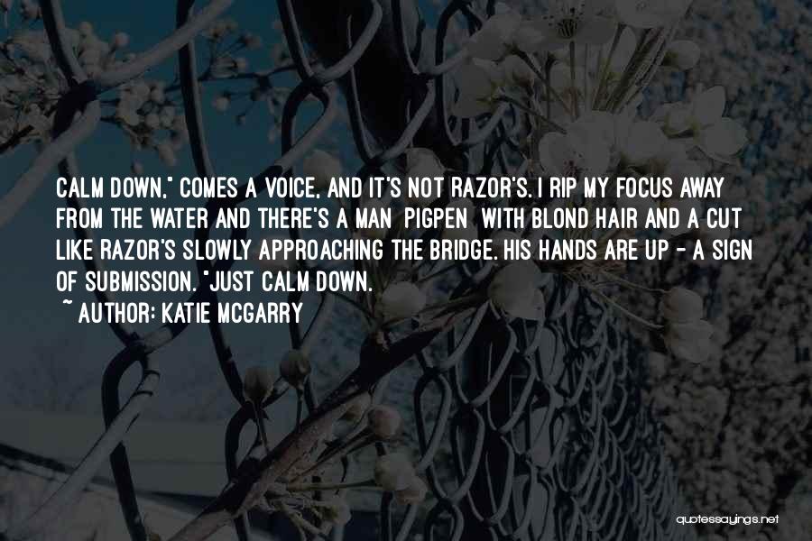 Hands And Water Quotes By Katie McGarry