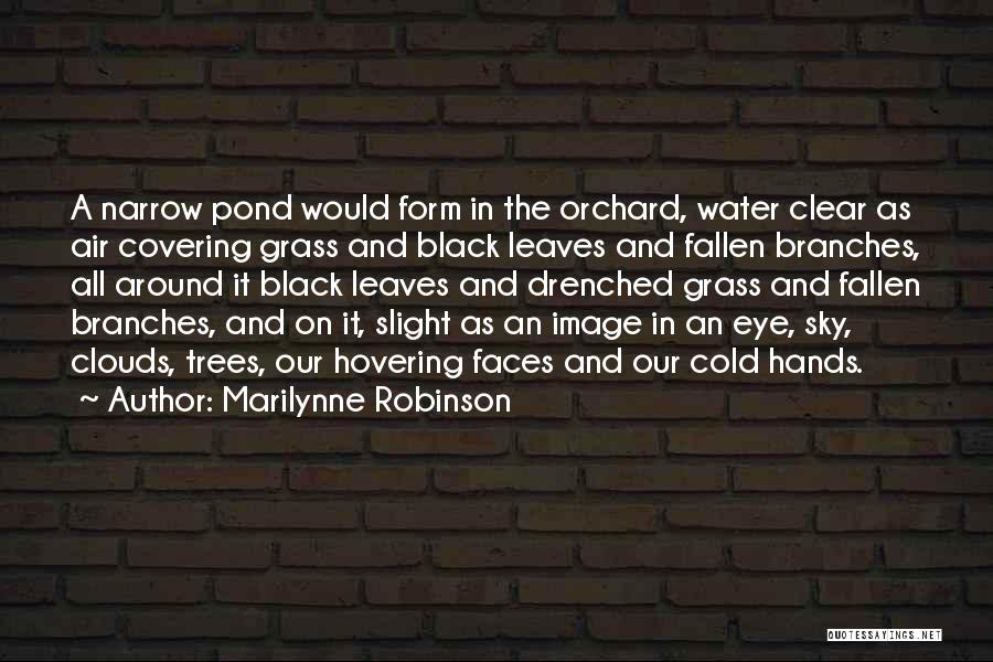 Hands And Water Quotes By Marilynne Robinson