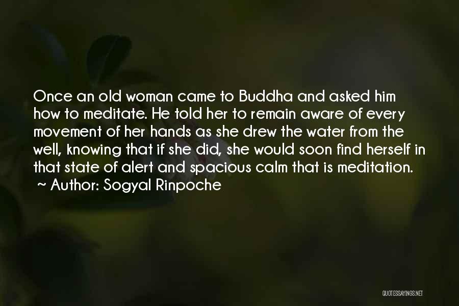 Hands And Water Quotes By Sogyal Rinpoche