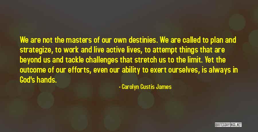 Hands And Work Quotes By Carolyn Custis James