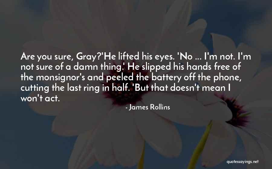 Hands Free Quotes By James Rollins