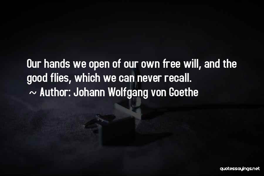 Hands Free Quotes By Johann Wolfgang Von Goethe