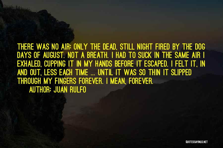 Hands In The Air Quotes By Juan Rulfo