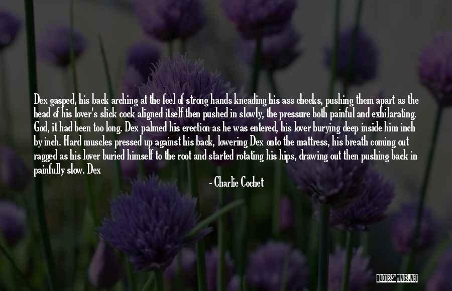 Hands On Hips Quotes By Charlie Cochet