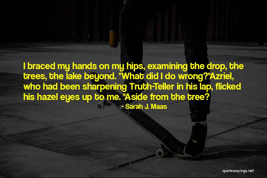 Hands On Hips Quotes By Sarah J. Maas