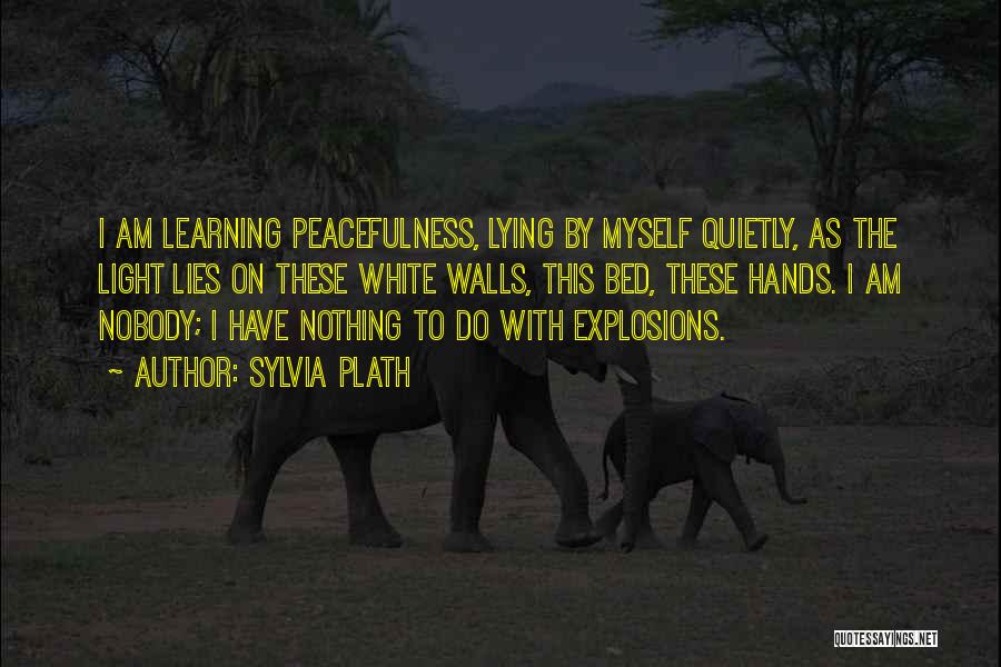 Hands On Learning Quotes By Sylvia Plath