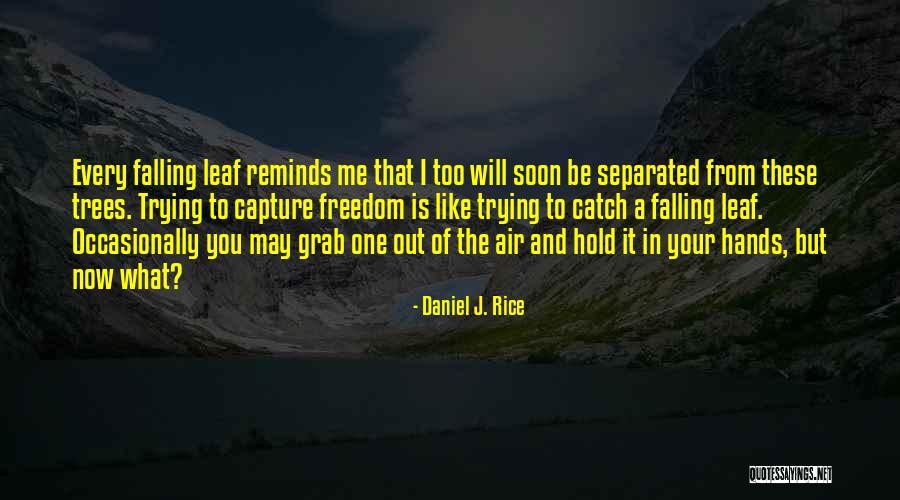 Hands To Hold Quotes By Daniel J. Rice Hands To Hold Quotes By Daniel J. Rice