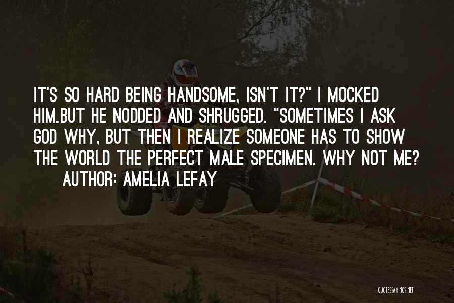 Handsome Male Quotes By Amelia LeFay