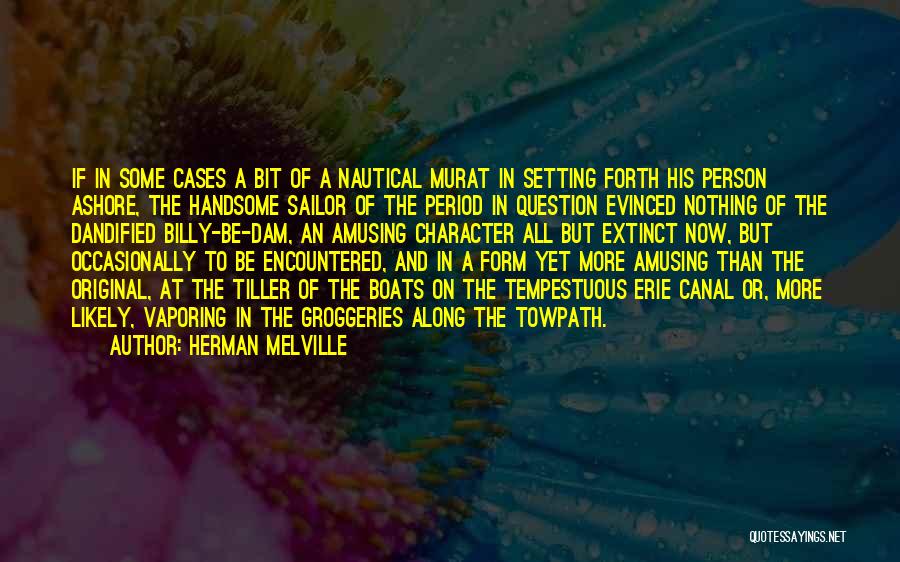 Handsome Person Quotes By Herman Melville