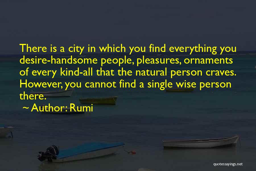 Handsome Person Quotes By Rumi