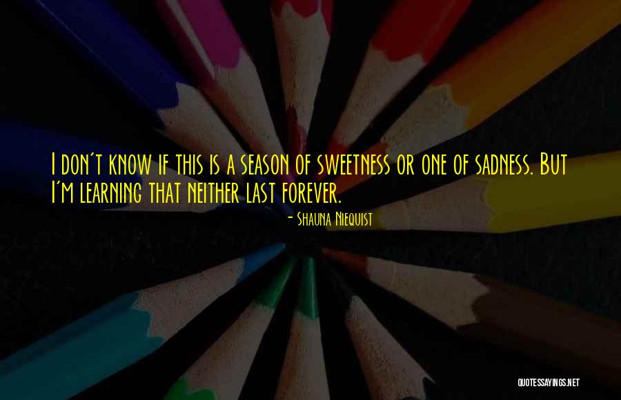 Handsomely Define Quotes By Shauna Niequist Handsomely Define Quotes By Shauna Niequist