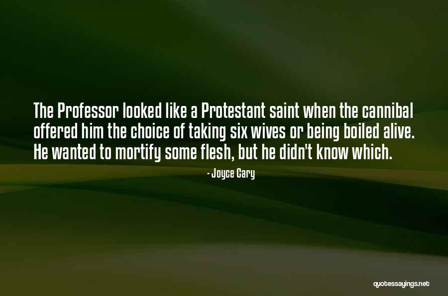 Handsomely Orchestrated Quotes By Joyce Cary Handsomely Orchestrated Quotes By Joyce Cary