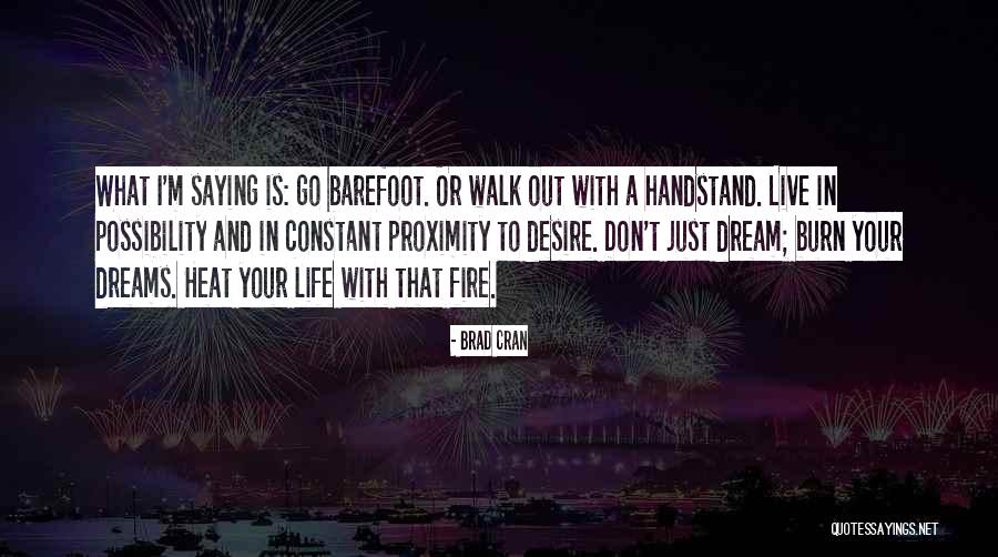 Handstand Quotes By Brad Cran