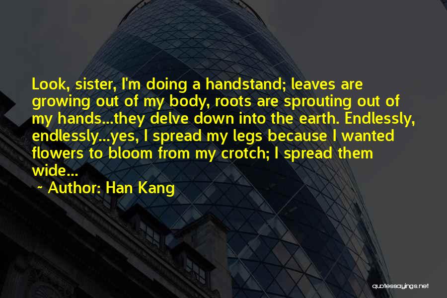 Handstand Quotes By Han Kang