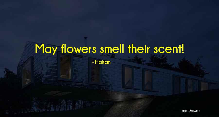 Haneen Haven Quotes By Hakan