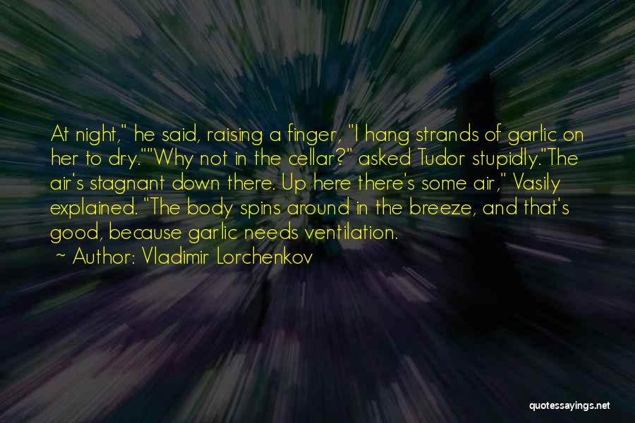 Hang Around Quotes By Vladimir Lorchenkov