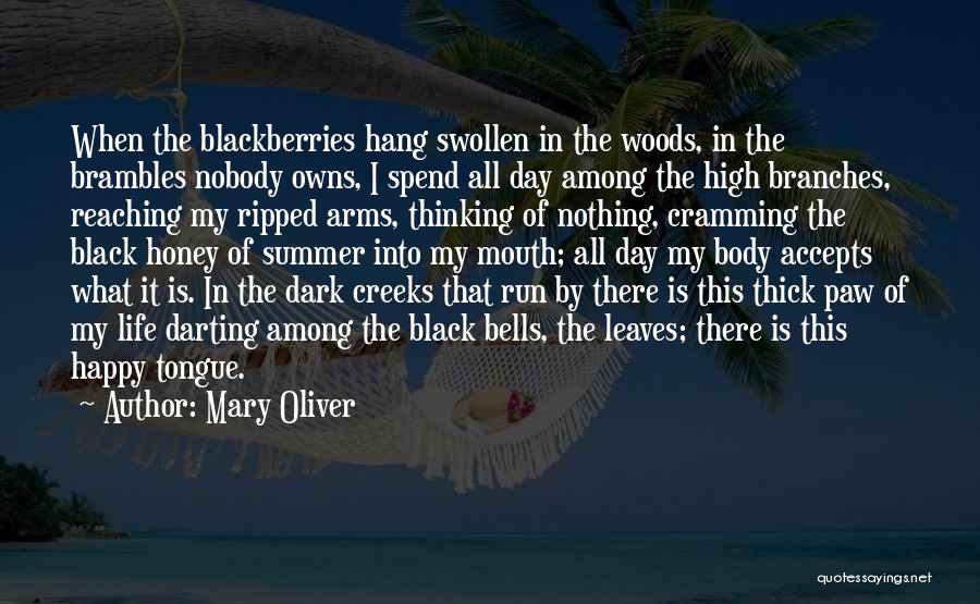 Hang Them High Quotes By Mary Oliver