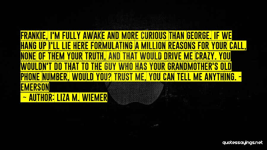 Hang Up Call Quotes By Liza M. Wiemer