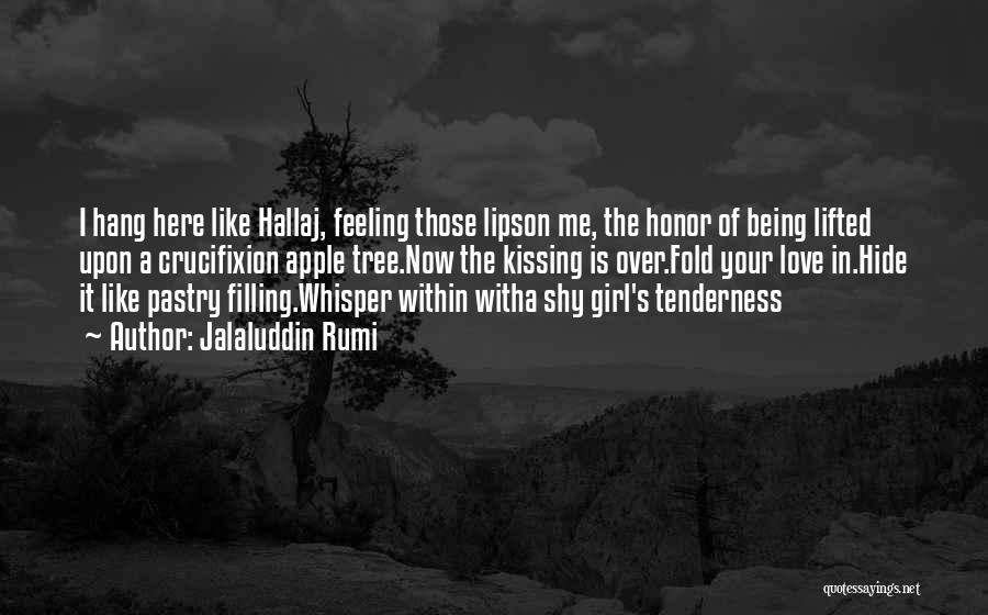 Hang Up On Me Quotes By Jalaluddin Rumi