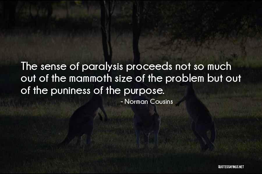 Hangaroo Quotes By Norman Cousins Hangaroo Quotes By Norman Cousins