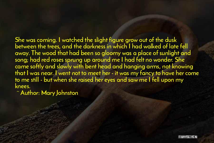 Hanging In Between Quotes By Mary Johnston