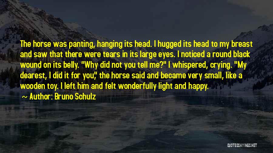 Hanging In There Quotes By Bruno Schulz