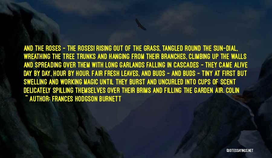 Hanging Tree Quotes By Frances Hodgson Burnett