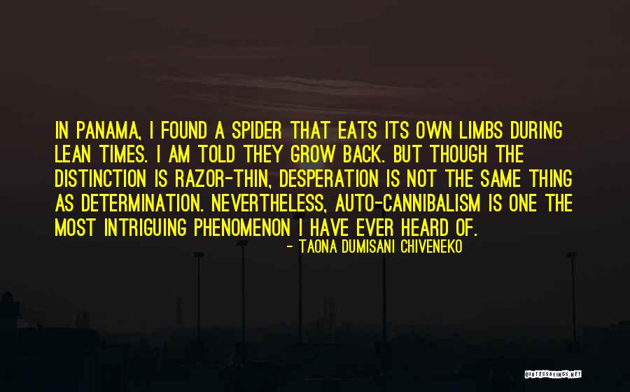 Hangman Is Great Quotes By Taona Dumisani Chiveneko Hangman Is Great Quotes By Taona Dumisani Chiveneko